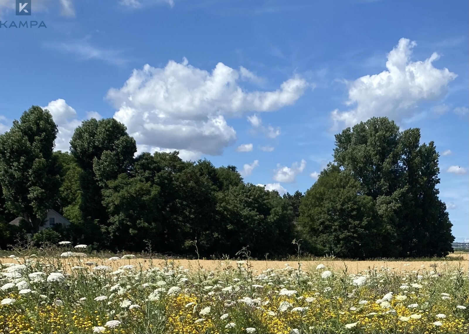 Frechen: Attraktives Baugrundstück in begehrter Lage in Frechen Frechen: Attraktives Baugrundstück in begehrter Lage in Frechen